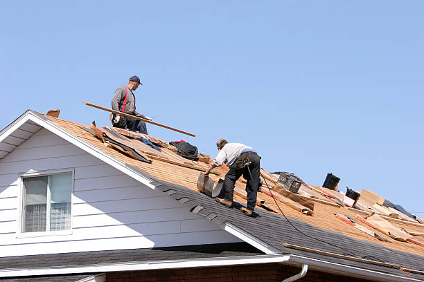 Reliable Sheldon, IL Roofing services Solutions